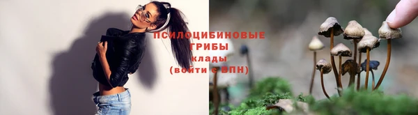 соль курить ск Нея