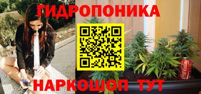 mdma Камышлов