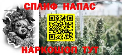 СК Канаш