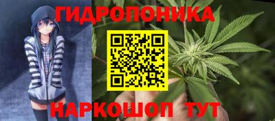 СК Канаш
