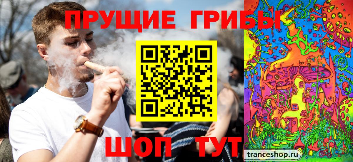 где продают наркотики  Вход с VPN  Псилоцибиновые грибы мухоморы  Вологда  Псилоцибиновые грибы прущие грибы 