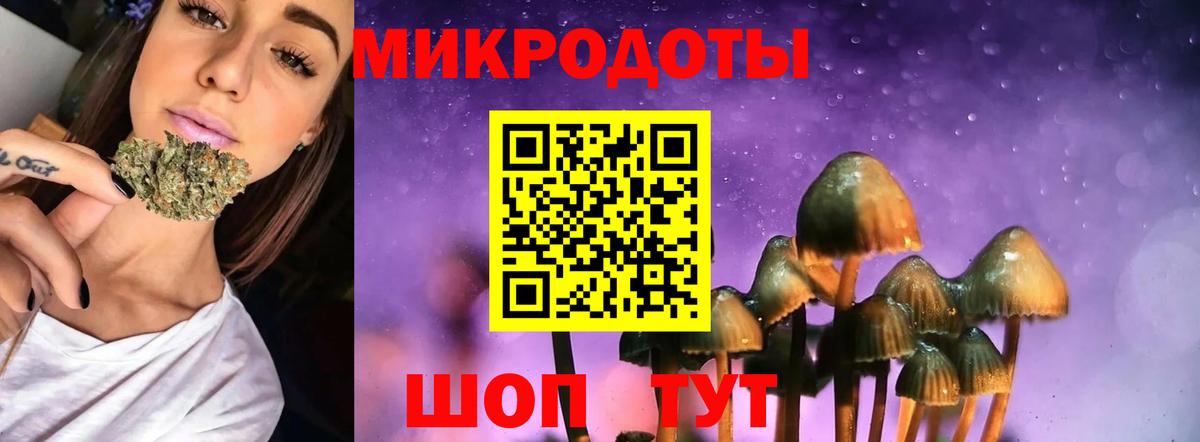 Псилоцибиновые грибы мицелий Вологда