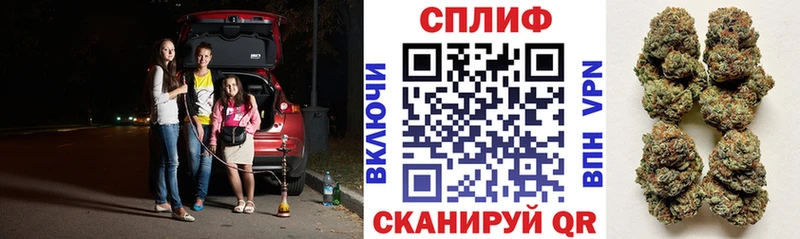 Каннабис индика  Вологда 